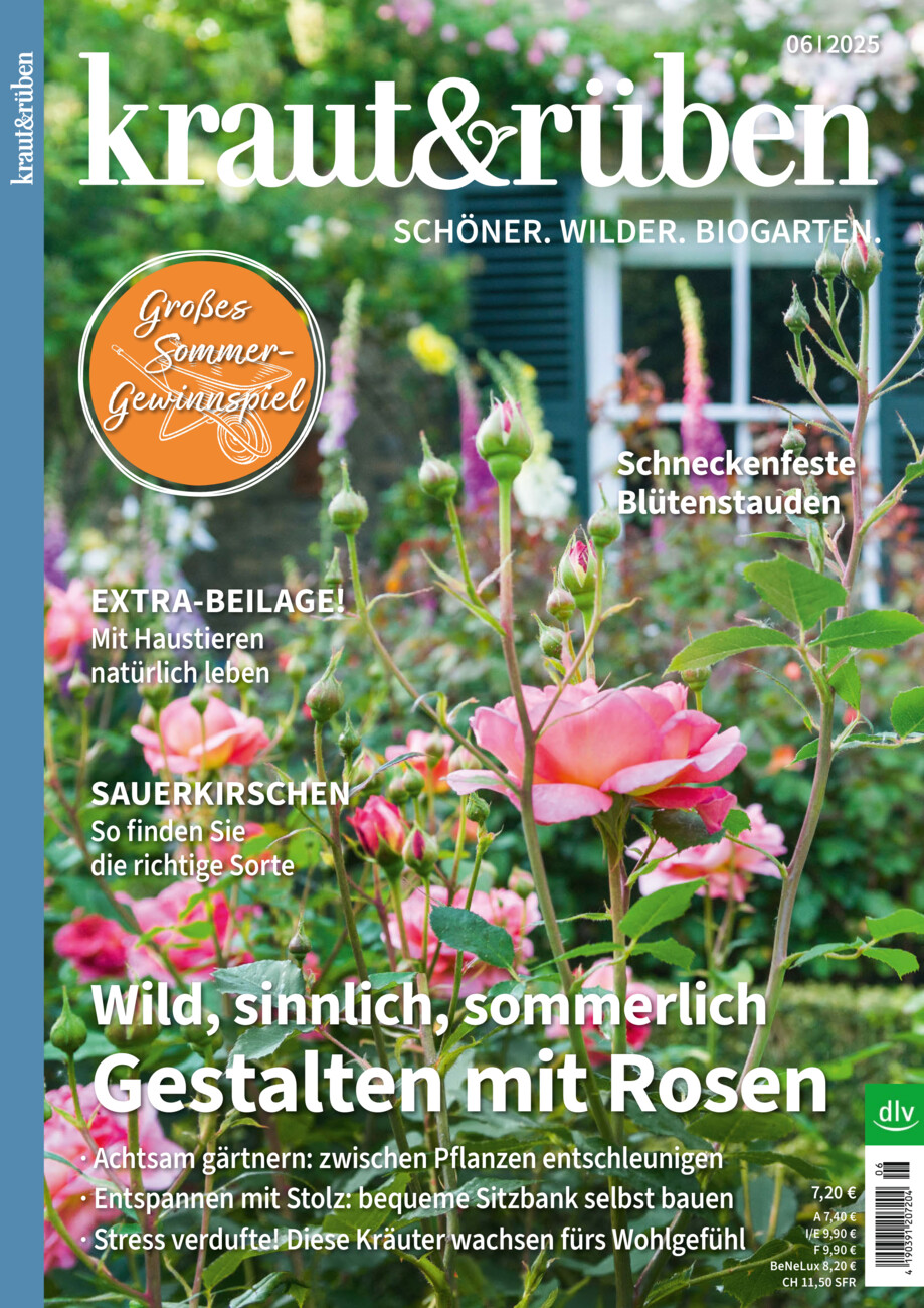 kraut&rüben 06-25 vom Donnerstag, 15.05.2025